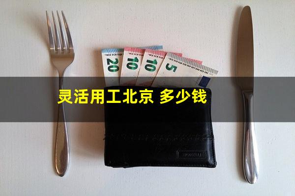 灵活用工北京 多少钱